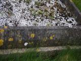 image of grave number 828479